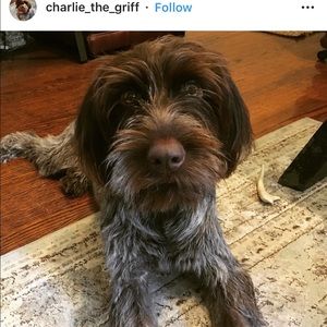 Meet your Posher, Jared